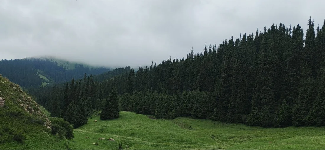 "Бўстон Ресорт" - 11