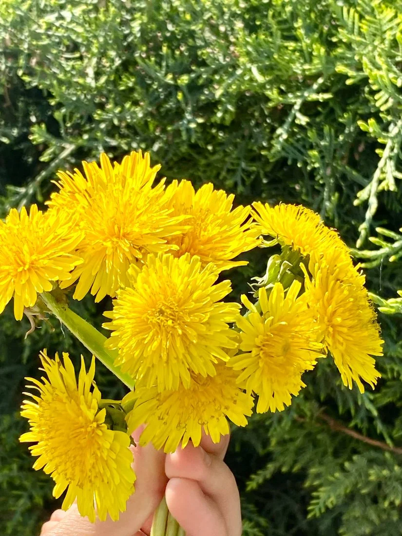 Тошкенликлар ҳайитдан кейинги дам олиш кунини қандай ўтказмоқда? - 4