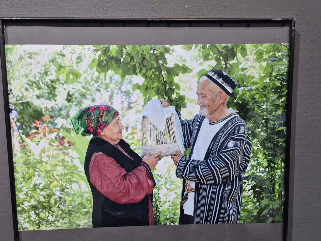 Ҳаётий суратлар қиёфаси